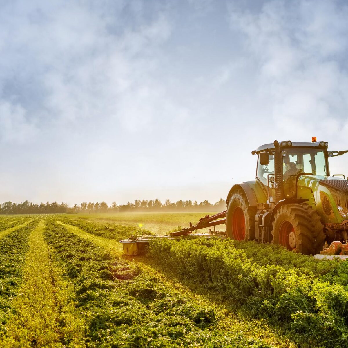 coopératives agricoles